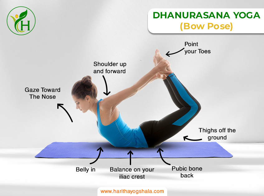 Infographic of Dhanurasana, the Bow Pose. The practitioner lies on the stomach, reaching back to grasp the ankles, creating a bow-like shape with the body. This backbend opens the chest and stretches the front body, promoting strength, flexibility, and an energizing heart-opening experience in yoga practice.