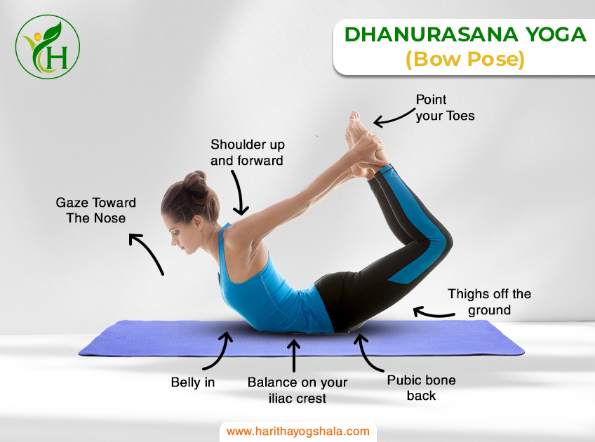 Infographic of Dhanurasana, the Bow Pose. The practitioner lies on the stomach, reaching back to grasp the ankles, creating a bow-like shape with the body. This backbend opens the chest and stretches the front body, promoting strength, flexibility, and an energizing heart-opening experience in yoga practice.