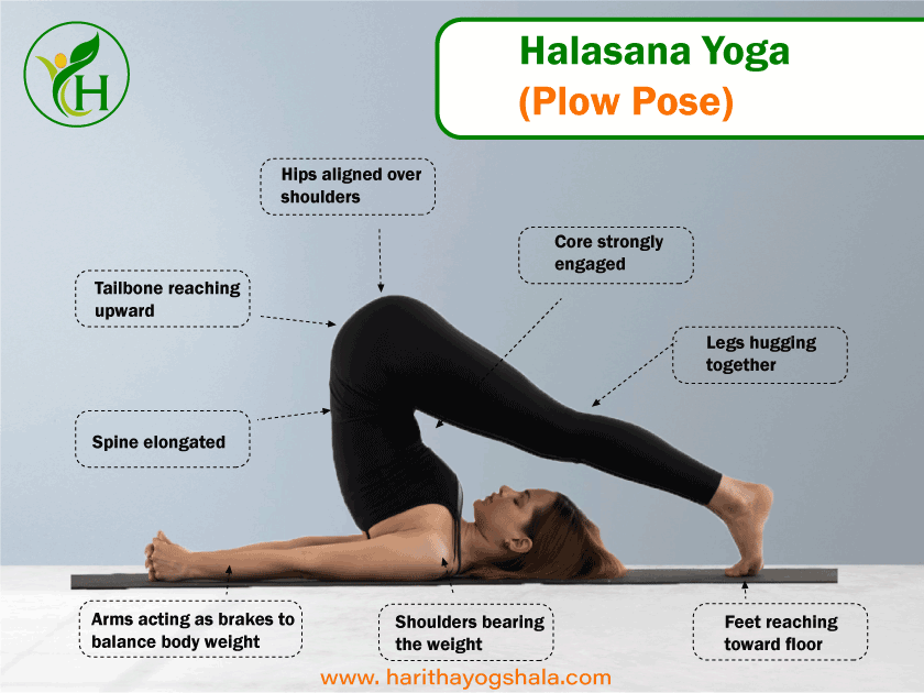 https://www.harithayogshala.com/upload/blog/Halasana-Yoga%20%28Plow-Pose%29_1707293085.png?utm_source=chatgpt.com