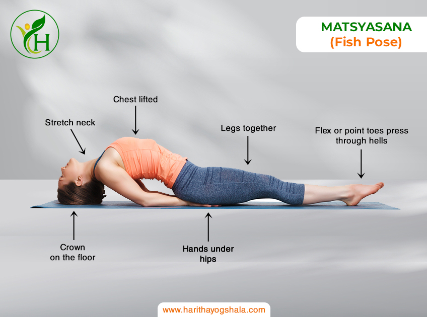 Infographic of Matsyasana, the Fish Pose. The practitioner lies on the back, arching the chest upward and supporting the body with forearms. This heart-opening pose stretches the chest and throat, promoting relaxation and rejuvenation in the practice of yoga.