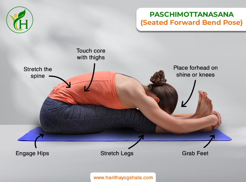 A woman gracefully practicing Paschimottanasana, the Seated Forward Bend. She sits with legs extended, folding forward at the hips, reaching towards her toes. The pose promotes flexibility and relaxation, providing a guide to the correct posture for a calming and rejuvenating yoga practice.
